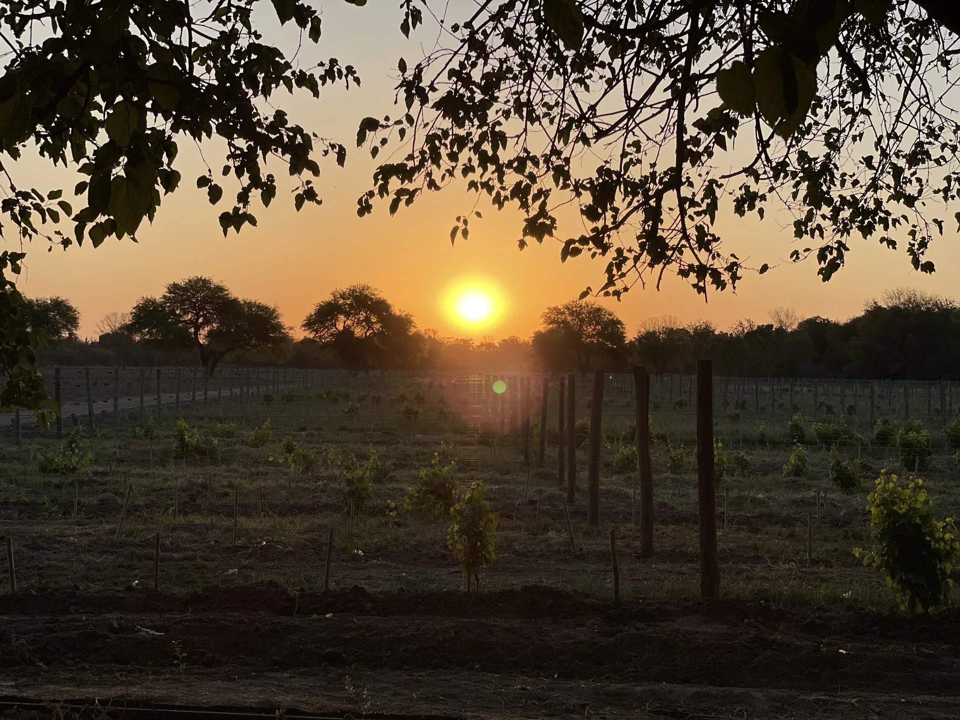 Atardecer en Sol Alto